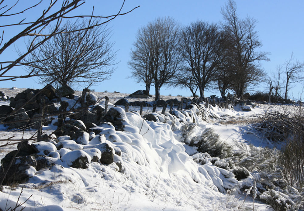 Neige à Usanges