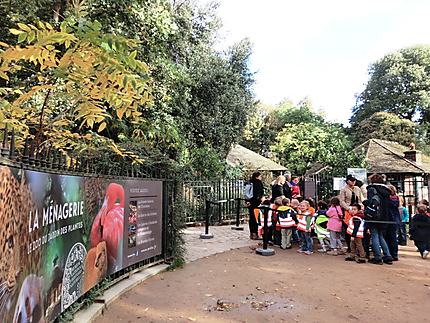Zoo du jardin des plantes