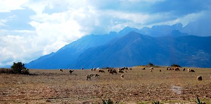 Au coeur de la Vallée sacrée des Incas 