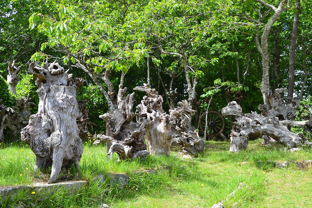 Statues de souches sur la route de Quiberon