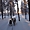 Sortie chien de traîneau en Laponie suédoise