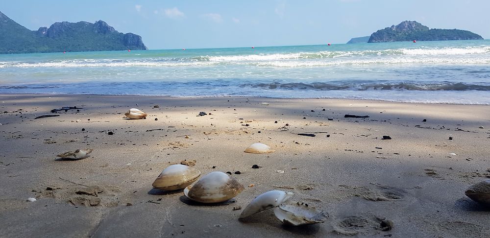 Coquillages à Ao Manao