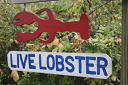 Live Lobster