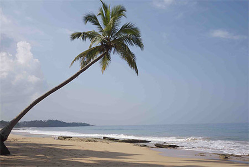 Plage à Kosgoda