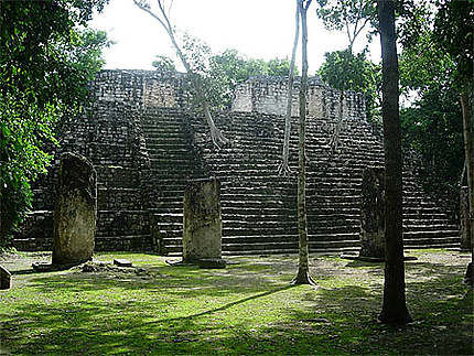 Citée de Calakmul