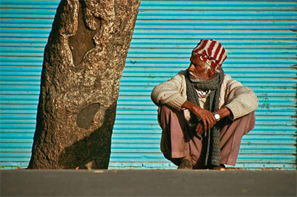 Le vieil homme et l'arbre