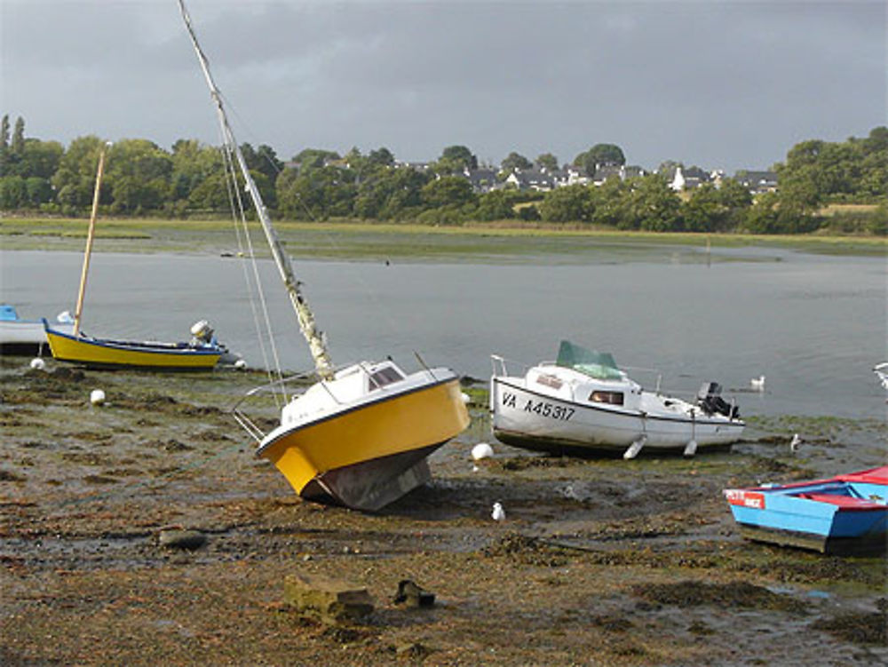 Marée basse à Conleau