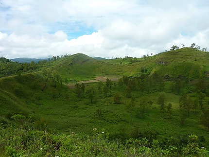Paysages boisés, aux environs du Wawo Muda
