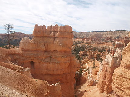 Randonnée dans le Canyon