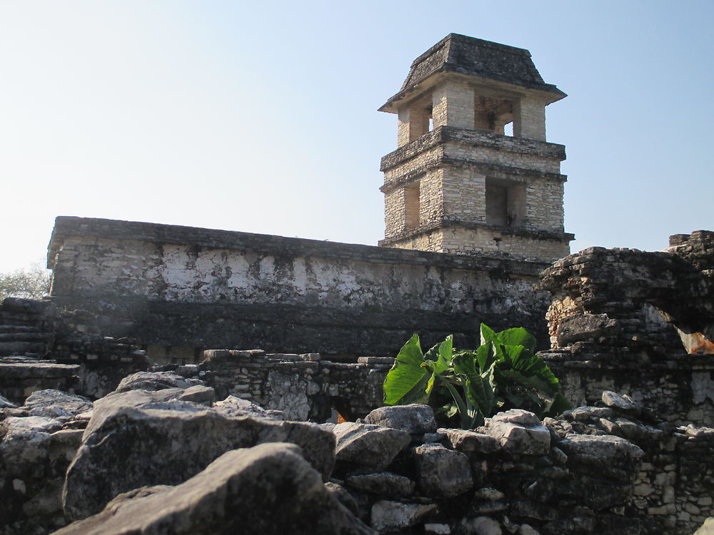 Sublime Palenque