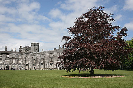 Le magnifique château de Kilkenny