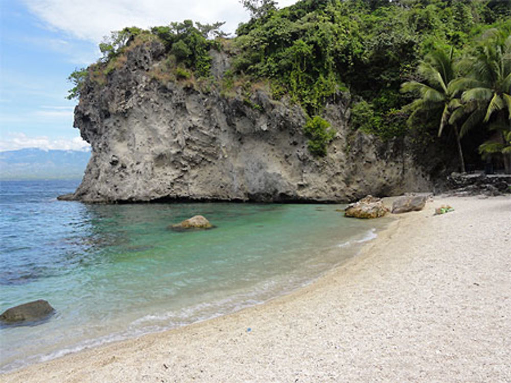 Plage à Apo island