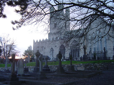 Cathédrale de Limerick Cathédrale de Limerick