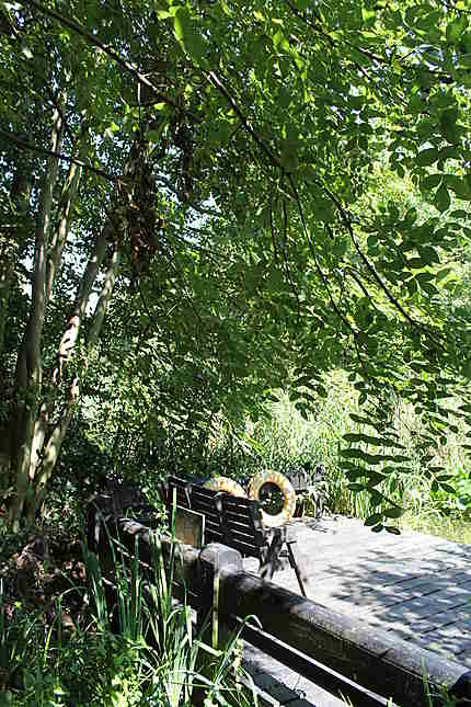 Camley street natural park