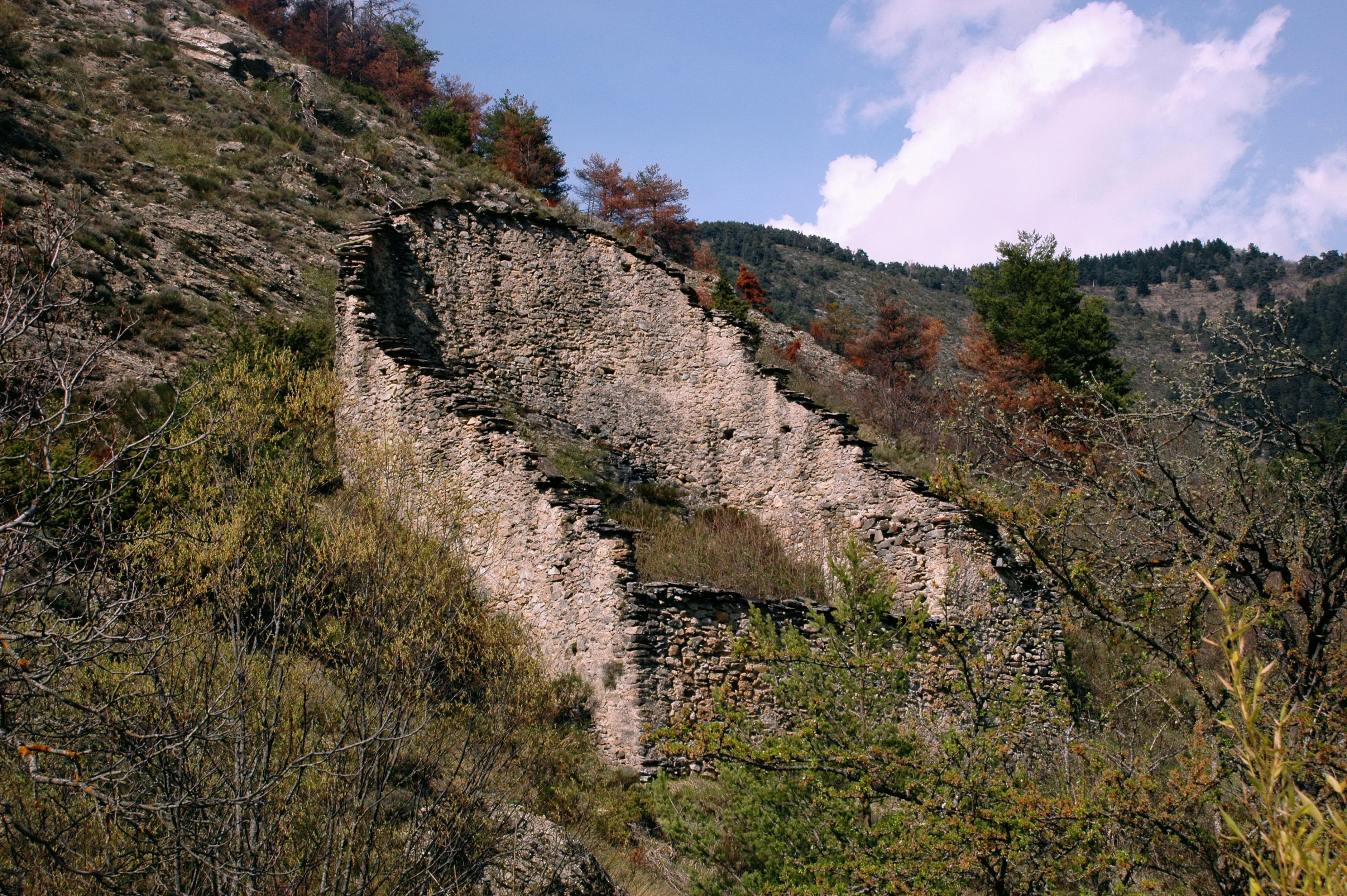 Rucher traditionnel et son enclos Rucher traditionnel et son enclos