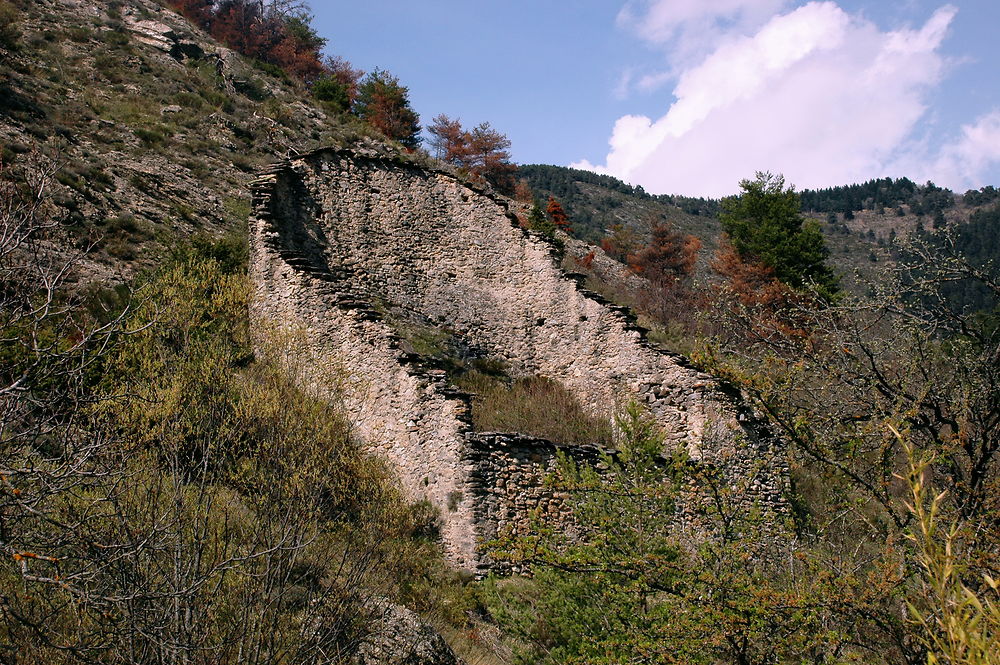 Rucher traditionnel et son enclos