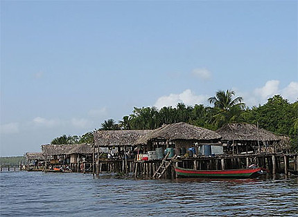 Village Warao
