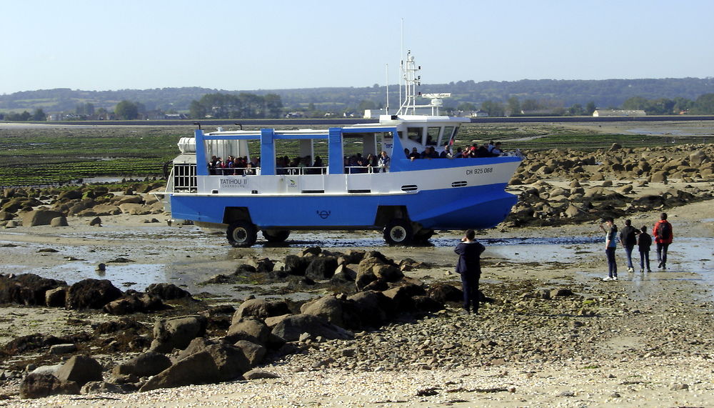 Bateau à roues saint vaast la hougue à tatihou