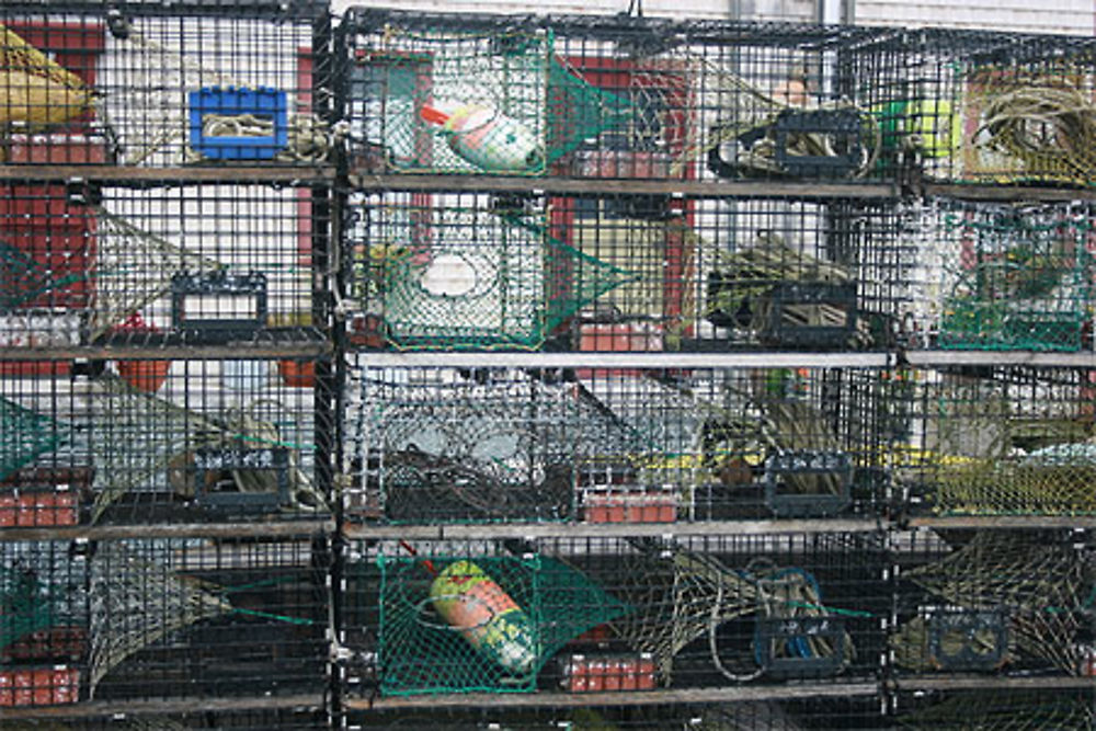 Cages à homard