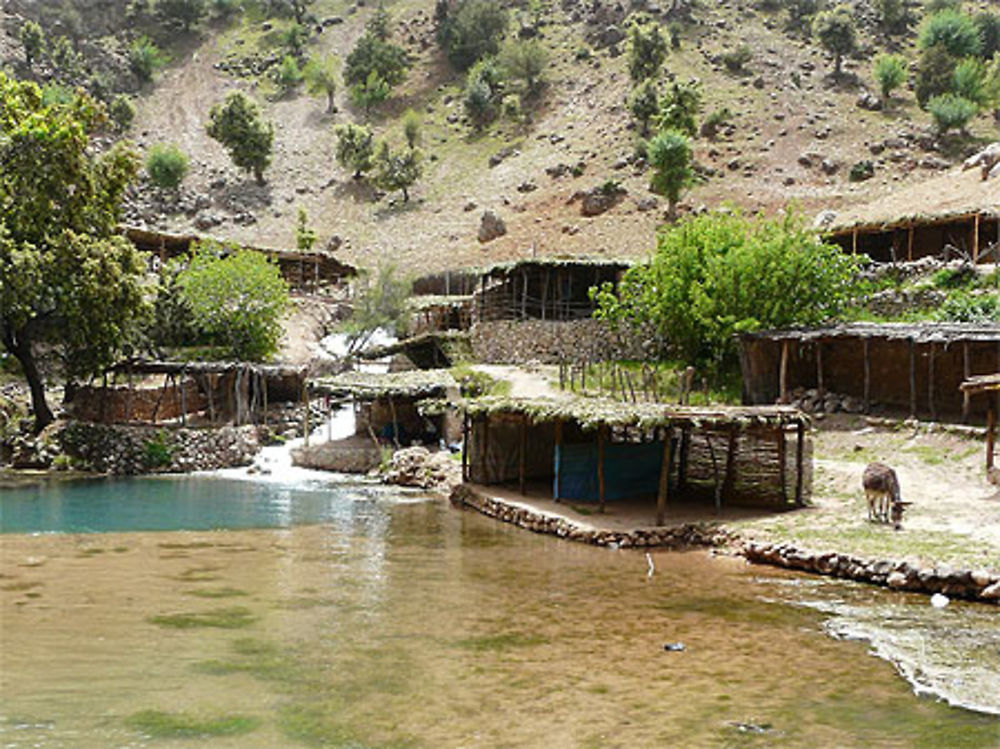 Cabanes au bord de l'eau