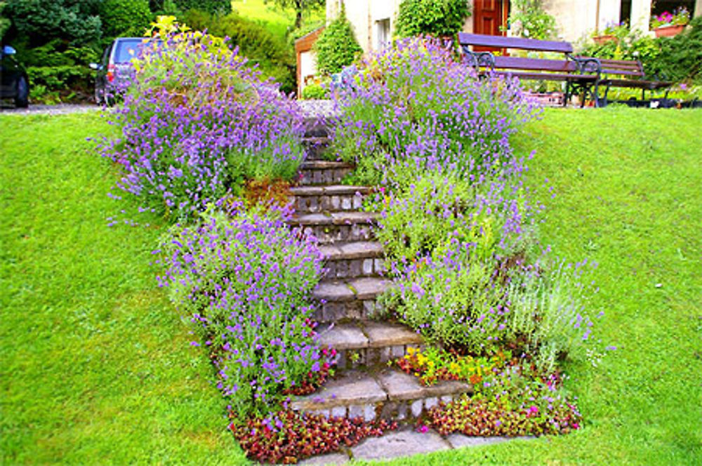 Escalier fleuri