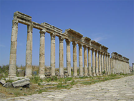 Colonnade du Cardo Maximus