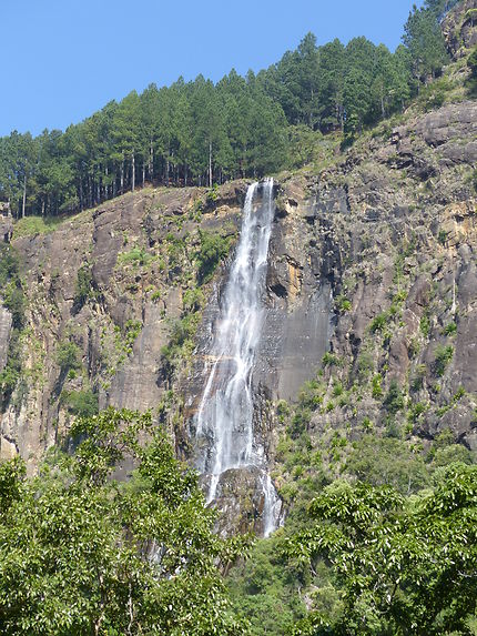 Cascade Bambara kanda