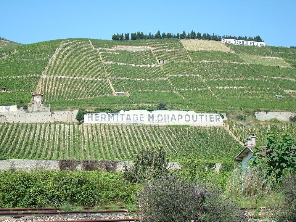 Collines de vignes à Tain l'Hermitage