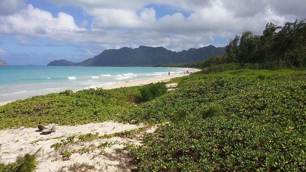 Bellows beach - Oahu