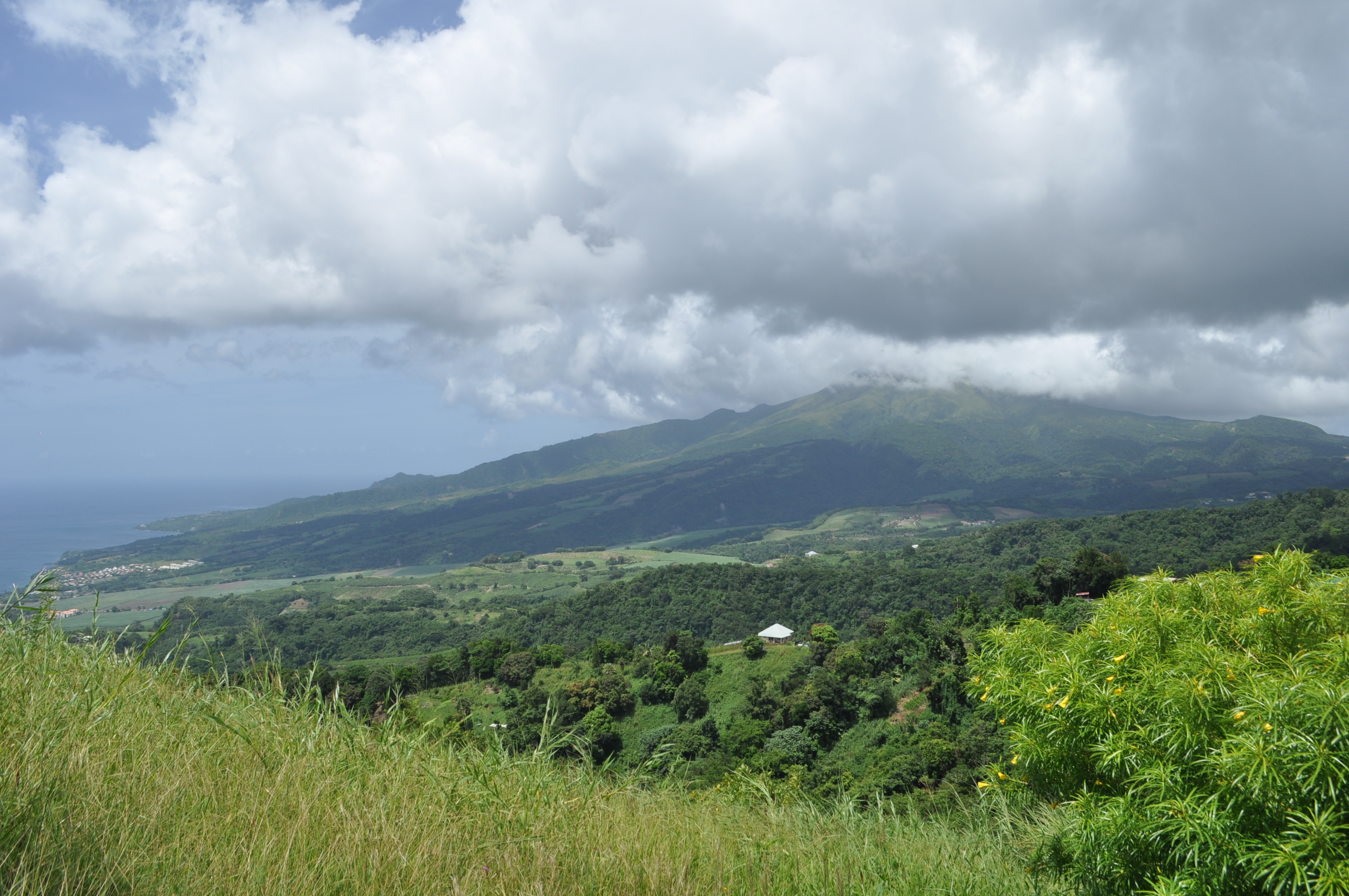 La montagne Pelée depuis Morne des Cadets La montagne Pelée depuis Morne des Cadets