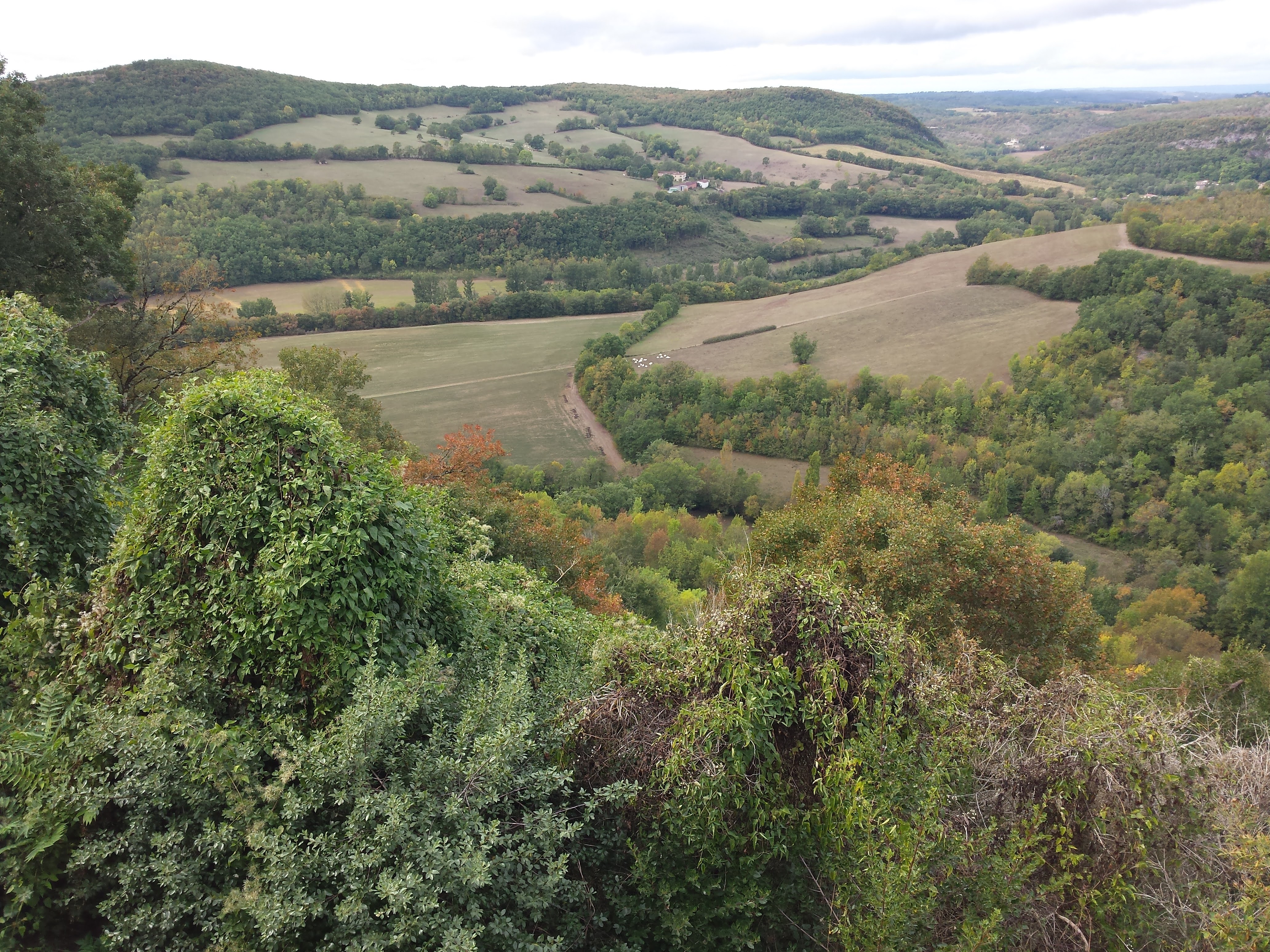 Paysage du haut de Puycelsi Paysage du haut de Puycelsi