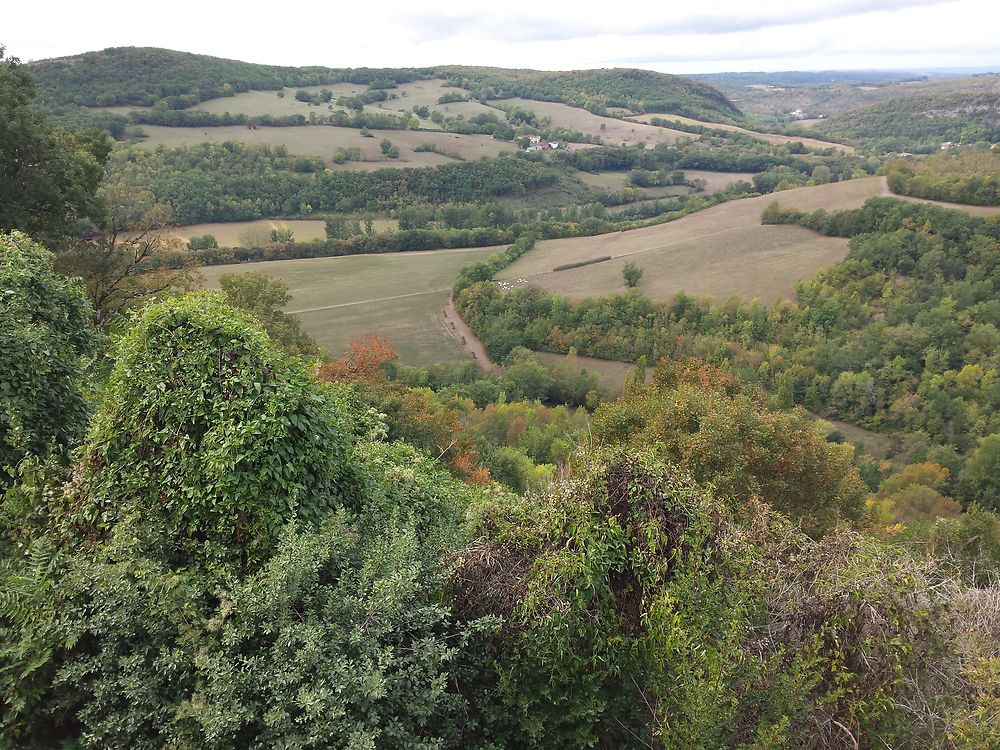 Paysage du haut de Puycelsi