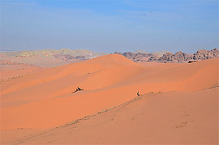 El Ghela, Wadi Araba