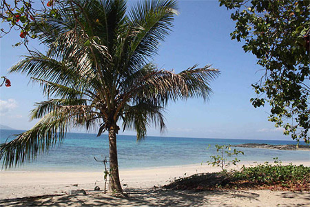 Plage idéale pour le snorkeling