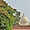 Dernier regard sur le Taj