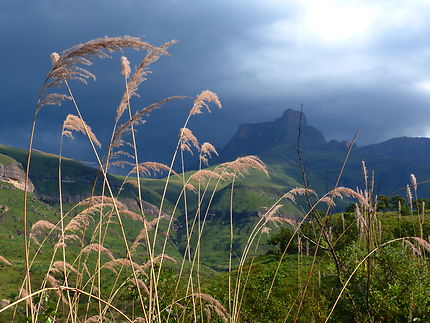 Drakensberg avant orage