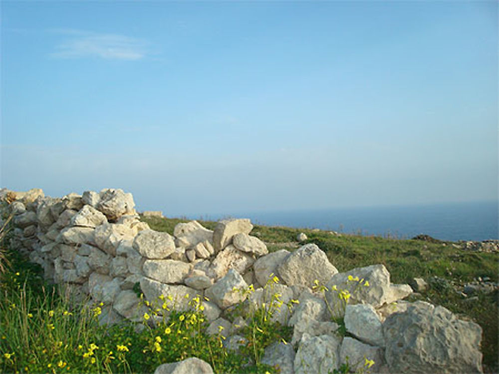 Paysages caillouteux autour d' Hagar Qim