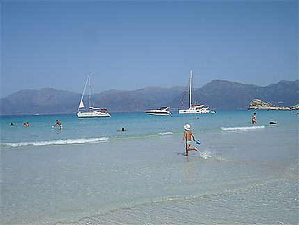 Plage De Lotu Plages Mer Les Agriate Haute Corse