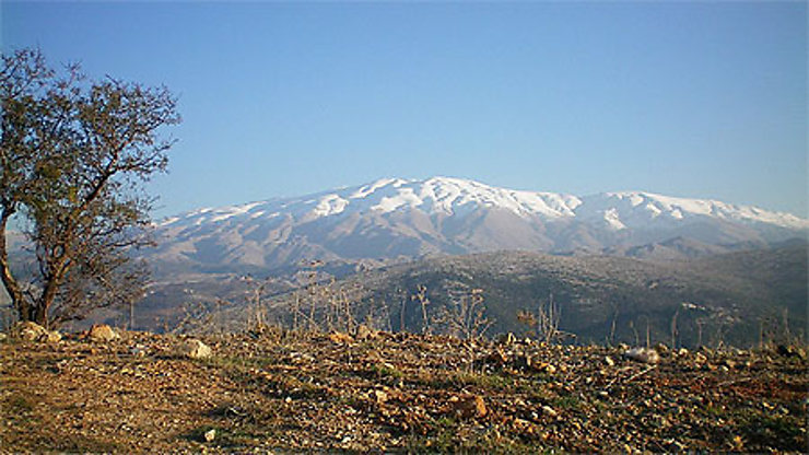 Liban-Sud