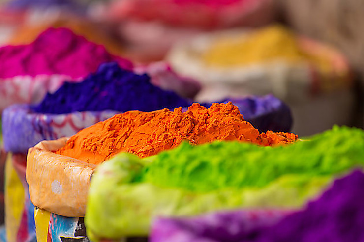 Holi (Fête des couleurs) en Inde