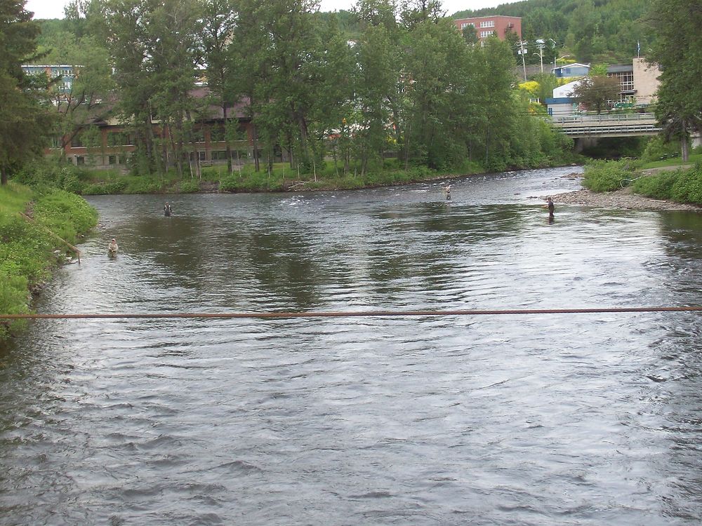 Pêcheurs de saumons à Causapscal