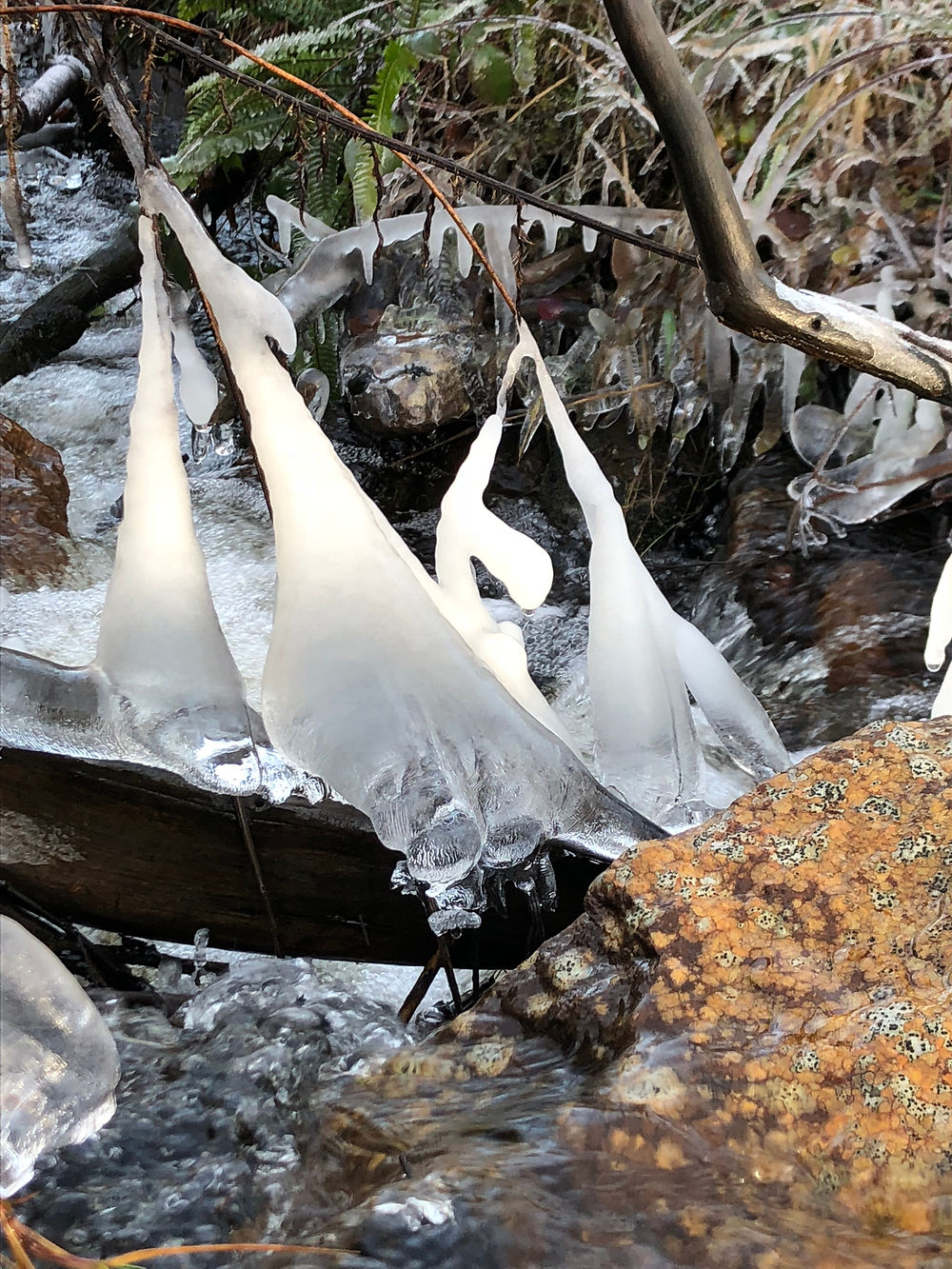 En bateau-frigo, dans les Ardennes flamandes