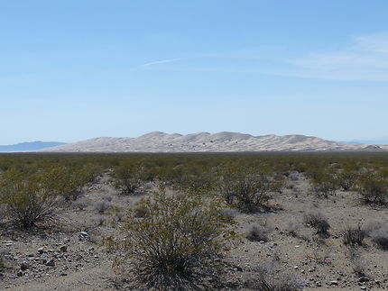 Dunes à Mojave National Preserve