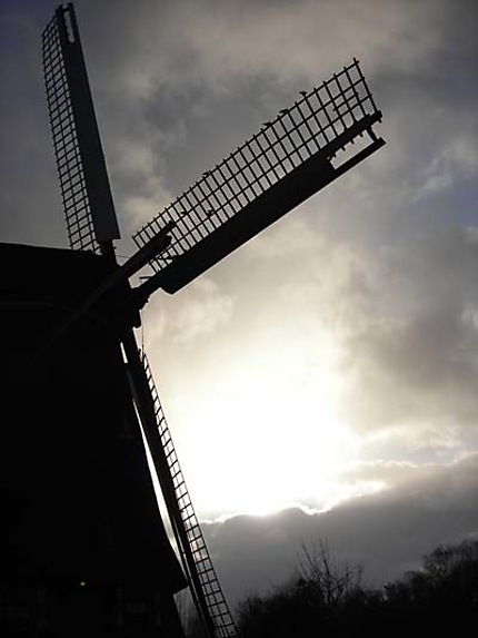 Moulin à Amsterdam
