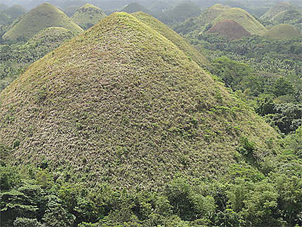 Chocolate Hills