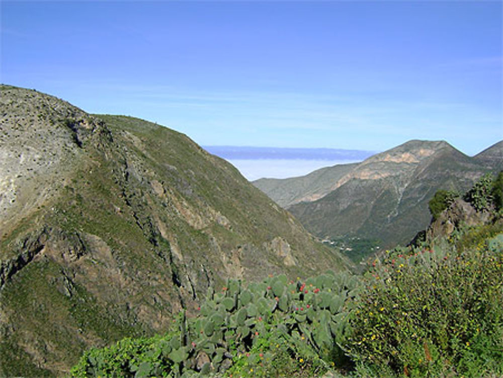 Paysage de Real de Catorce