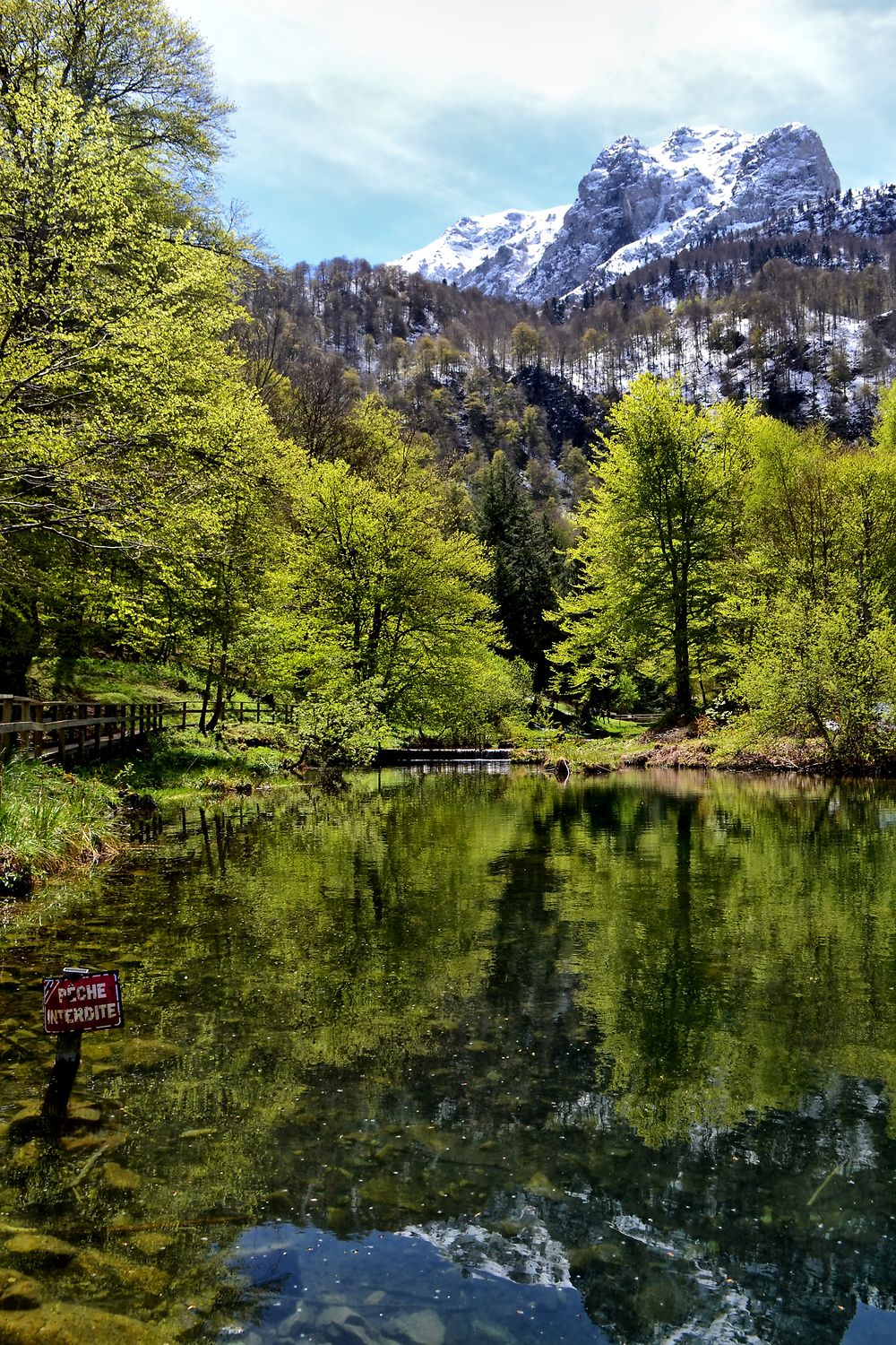 Reflet Lac de Bethmale