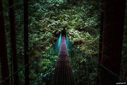 Suspension bridge to mystic beach, Vancouver