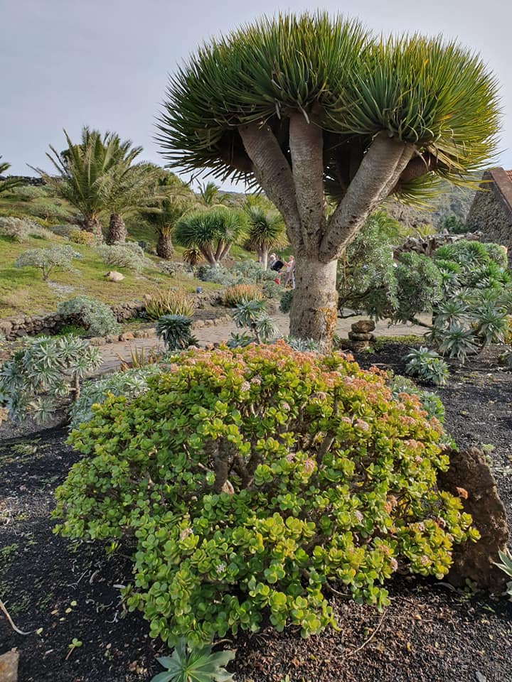 Jardin botanique du Mirador de La Pena Jardin botanique du Mirador de La Pena
