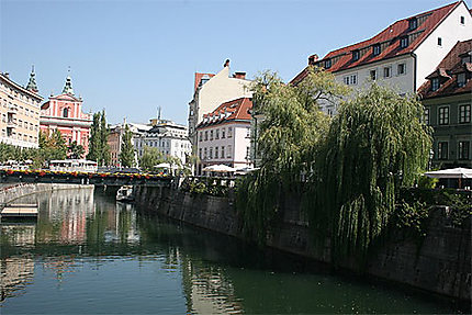 Ljubljanica river